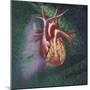 Anterior View of Heart and Lung on Green Background-null-Mounted Art Print