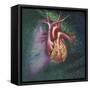 Anterior View of Heart and Lung on Green Background-null-Framed Stretched Canvas