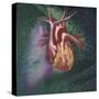 Anterior View of Heart and Lung on Green Background-null-Stretched Canvas