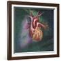 Anterior View of Heart and Lung on Green Background-null-Framed Art Print