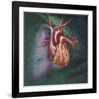 Anterior View of Heart and Lung on Green Background-null-Framed Art Print