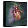 Anterior View of Heart and Lung on Green Background-null-Framed Stretched Canvas