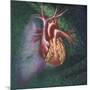 Anterior View of Heart and Lung on Green Background-null-Mounted Art Print