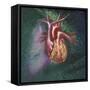 Anterior View of Heart and Lung on Green Background-null-Framed Stretched Canvas