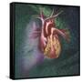 Anterior View of Heart and Lung on Green Background-null-Framed Stretched Canvas