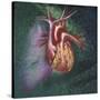 Anterior View of Heart and Lung on Green Background-null-Stretched Canvas