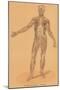 Anterior View of Human Musculature-null-Mounted Art Print