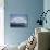 Anthelion, Svalbard Islands, Arctic, Norway, Europe-James Hager-Stretched Canvas displayed on a wall