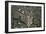 Anthill under a Stone-Paul Starosta-Framed Photographic Print