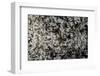 Anthill under a Stone-Paul Starosta-Framed Photographic Print