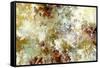 Anthology-Jack Roth-Framed Stretched Canvas