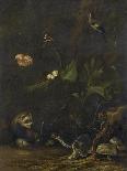 Animals and Plants-Anthonie Van Borssom-Stretched Canvas