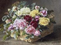 A Still Life of Roses in a Basket, 1894-Anthonore A.E. Christensen-Stretched Canvas