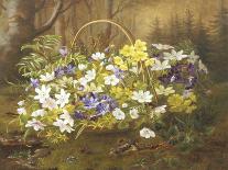 Anemones and Primroses in a Basket-Anthonore Christensen-Framed Giclee Print