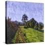Stretched Canvas