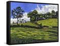 Canvas Black