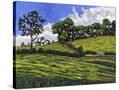 Stretched Canvas