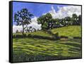 Canvas Black