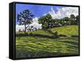 Canvas Black