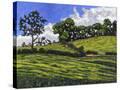 Stretched Canvas
