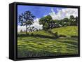 Canvas Black