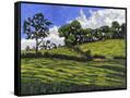 Canvas Black