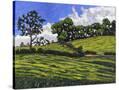 Stretched Canvas