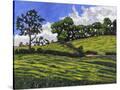 Stretched Canvas