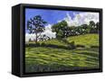 Canvas Black