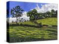 Stretched Canvas