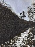 Sussex Copse-Anthony Amies-Giclee Print