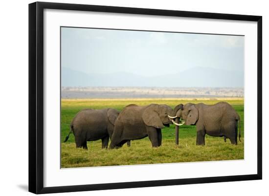 Photographic Print, , large