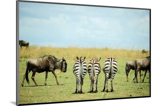 Photographic Print, , large