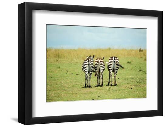 Premium Photographic Print, , large