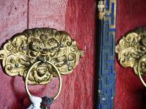 Dragon Head Door Grip, Likir, Ladakh, India-Anthony Asael-Photographic Print
