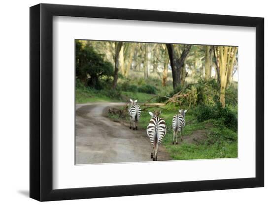 Premium Photographic Print, , large