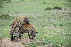 Kenya, Masai Mara, Thousands of Wildebeest Preparing of the Migration-Anthony Asael-Photographic Print