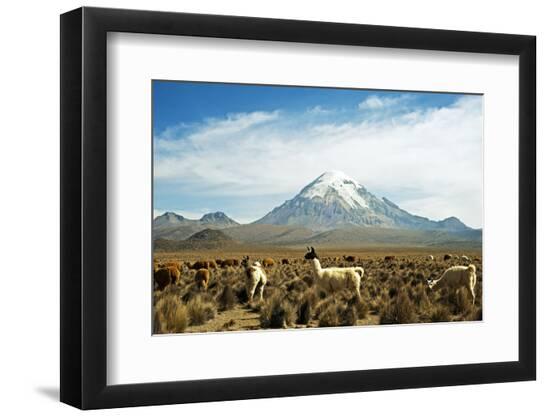 Photographic Print, , large
