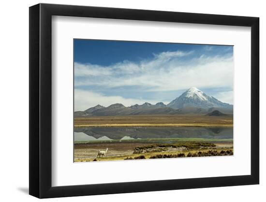 Premium Photographic Print, , large