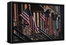 Framed Canvas