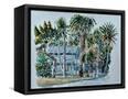 Canvas Black