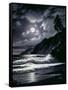 Canvas Black