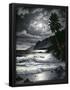 Essential Black