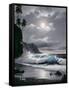 Canvas Black