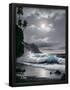 Essential Black