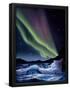 Essential Black