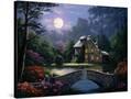 Stretched Canvas