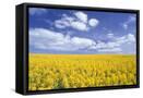 Canvas Black