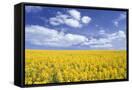 Canvas Black