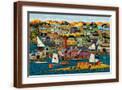Brown Frame